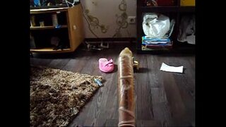 Жопа шокшы ебля