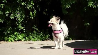 Минијатурна тетовирана лепотица проналази свог пса у кући својих комшија.Њен комшија жели награду, скидају одећу, а затим јој пресече гутљај комшијама бигцоцка.Као одговор, њен комшија јебе јој маца и дупе дубоко и тешко док не цумс на њу.