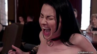 ���ਿਰ ਨੌਕਰ Veruca ਯਾਕੂਬ ਗਾਈਡ ਨੌਕਰ ਟ੍ਰੇਨਿੰਗ ਦੋਹਰਾ ਸੰਚਾਰ ਗਿਰੋਹ ਚ ਧਮਾਕਾ ਬਕ ਸੇਵਾ ਲਈ ਰਾਂਡ ਅਤੇ ਉਹ ਹਾਰਡ ਚੁਦਾਈ ਅਤੇ ਪੇਸ਼ ਵੱਡੇ ਮੰਜ਼ਿਲ ਵਿਚ ਨੰਗਾ ਨਾਚ ਬੀ ਦੀ ਏਸ ਏਮ ਪਾਰਟੀ